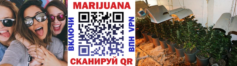 цены   Россошь  Шишки марихуана индика 